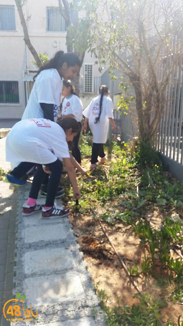 a3mal tayeba 7san3arafa (17).JPG